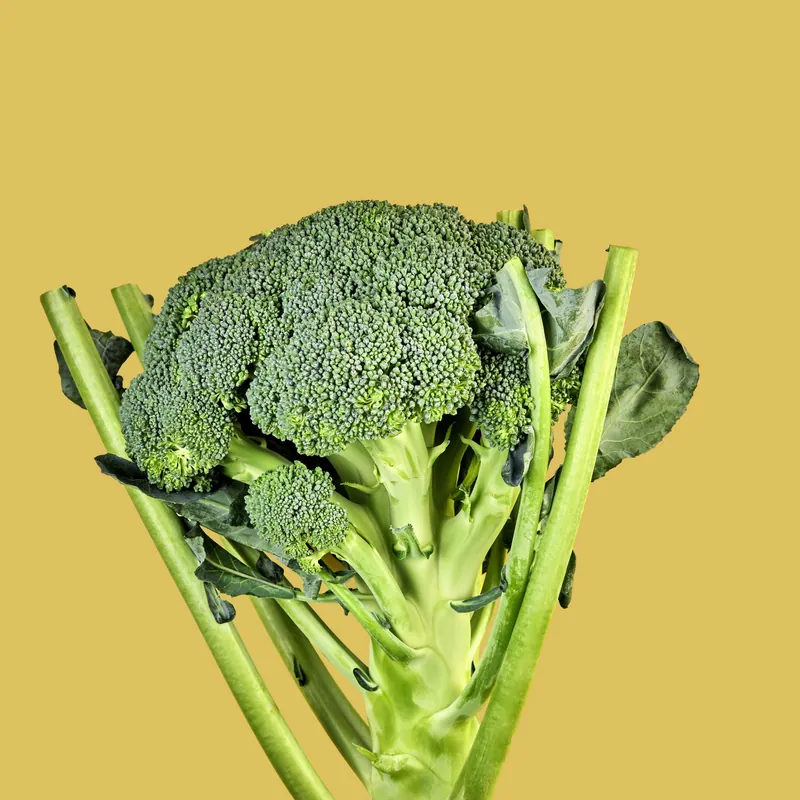 Broccolo fresco su fondale giallo