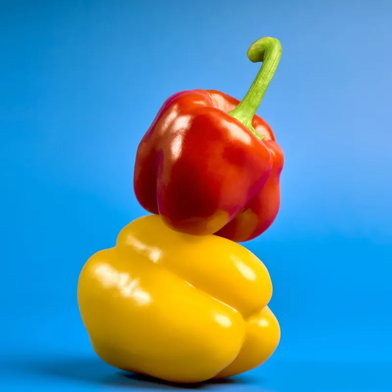 Peperone rosso sopra un peperone giallo su fondale azzurro